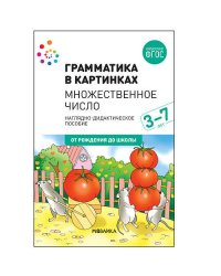 Наглядное пособие. Грамматика в картинках. Множественное число (2-е издание)