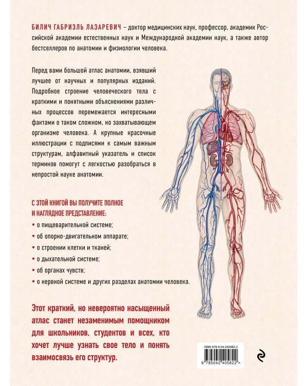 Анатомия человека: большой популярный атлас (новое оформление)
