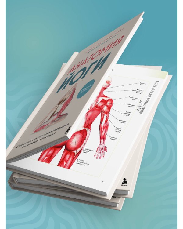 Анатомия йоги. 50 главных асан с анатомическими иллюстрациями, для начинающих и продвинутых