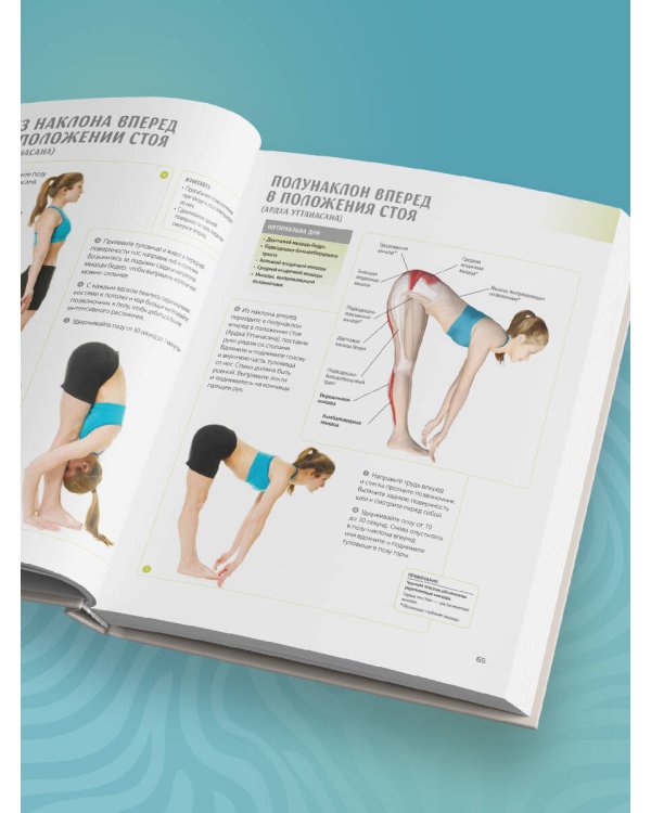 Анатомия йоги. 50 главных асан с анатомическими иллюстрациями, для начинающих и продвинутых