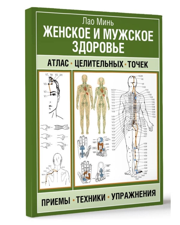 Женское и мужское здоровье. Атлас целительных точек, приемы, техники