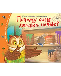 Книжки-малышки. Почему совы летают  ночью?