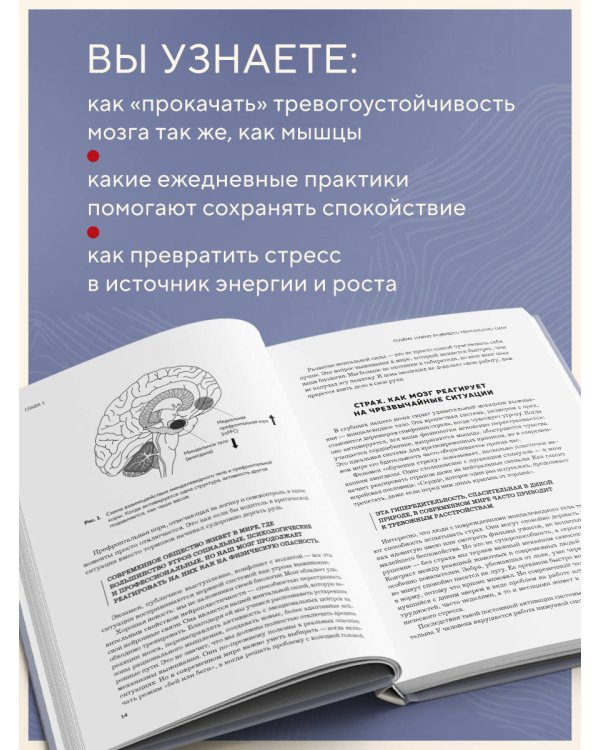 Нейроброня. Новый взгляд на работу мозга в условиях тревожного мира
