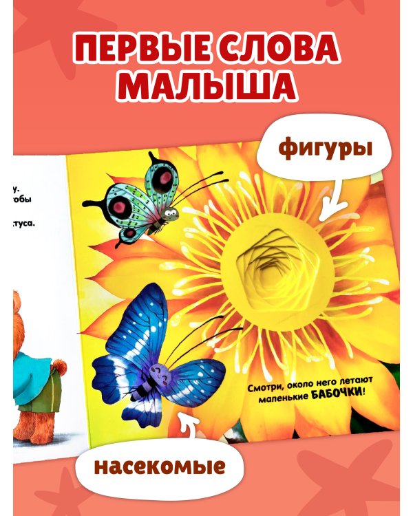 Дополнительное изображение книги «Загляни в окошко! Насекомые»