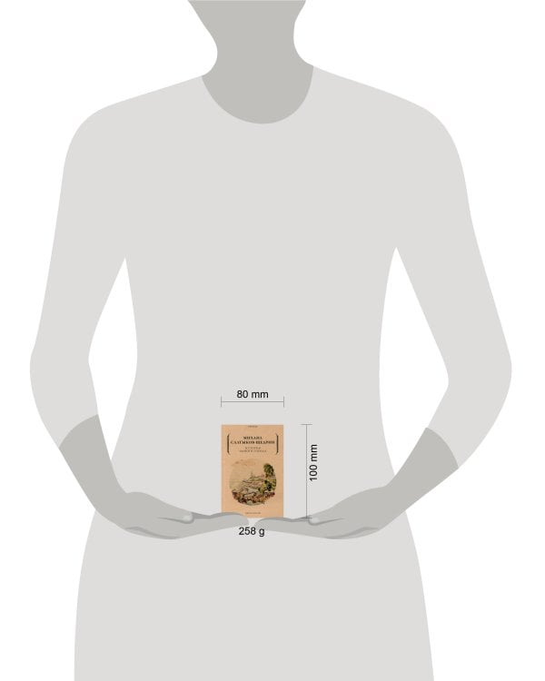 История одного города