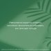 Зеленая Академия Восставшие из сада. Книга для тех, у кого не выжил даже кактус