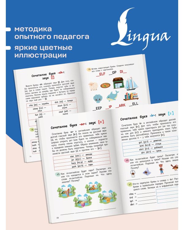 Английский язык. Activity book. Учимся читать
