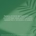 Зеленая Академия Восставшие из сада. Книга для тех, у кого не выжил даже кактус