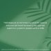 Зеленая Академия Восставшие из сада. Книга для тех, у кого не выжил даже кактус