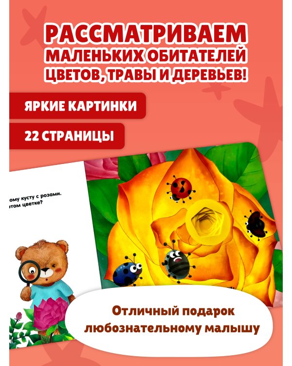 Дополнительное изображение книги «Загляни в окошко! Насекомые»