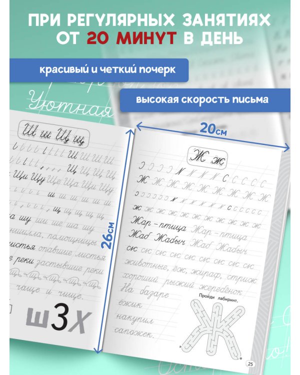 Новый тренажёр по чистописанию. 2 класс