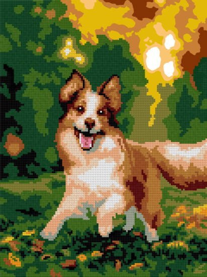 Ам-067 Алмазная мозаика 30*40 см (частичное заполнение) "Весёлый бордер-колли"