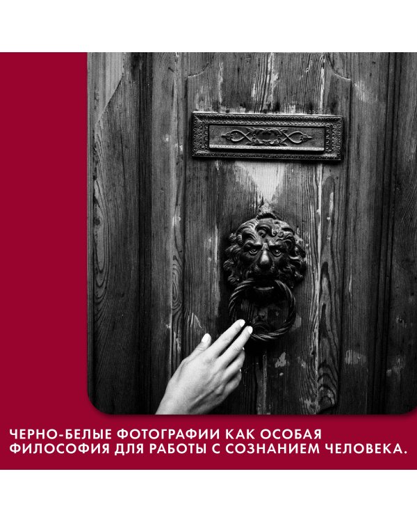 Любовь. Книга о главной способности человека + колода метафорических карт