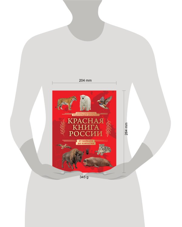 Красная книга России. От Байкала до Камчатки. Иллюстрированная энциклопедия школьника (48 стр.)