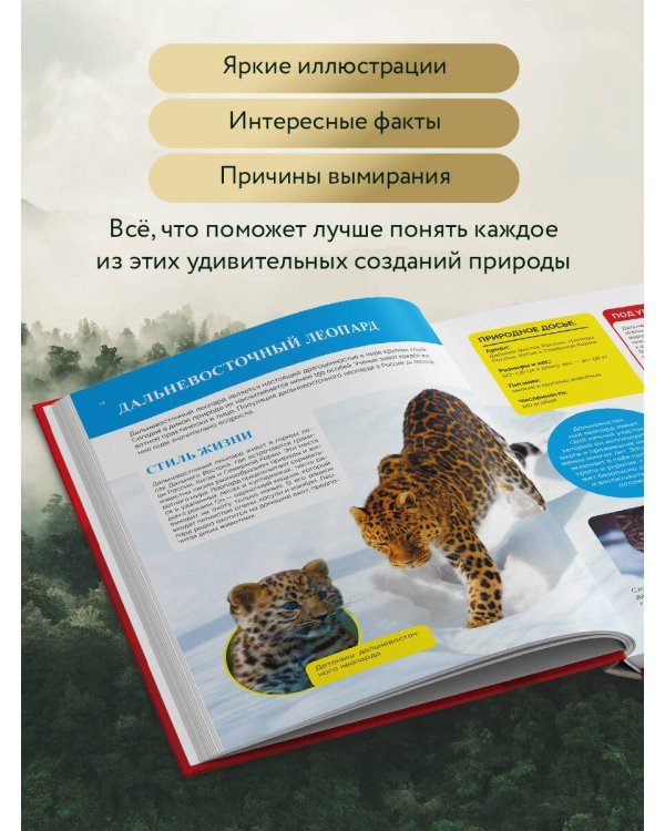 Красная книга России. От Байкала до Камчатки. Иллюстрированная энциклопедия школьника (48 стр.)