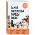 Справочник начинающего собаковода Самые популярные породы собак (новое оформление 2024)
