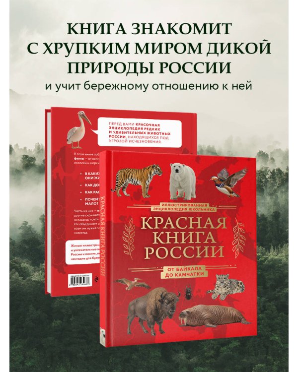 Красная книга России. От Байкала до Камчатки. Иллюстрированная энциклопедия школьника (48 стр.)