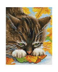 2500-ST-S Осенние игры