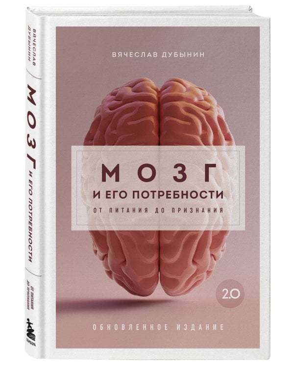 Мозг и его потребности 2.0. От питания до признания