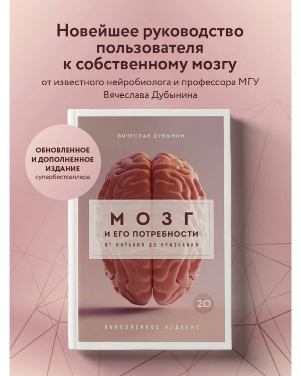 Мозг и его потребности 2.0. От питания до признания