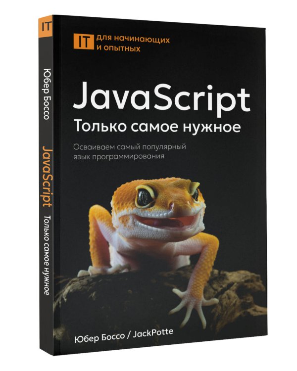 JavaScript, только самое нужное