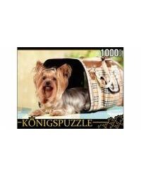Königspuzzle. ПАЗЛЫ 1000 элементов. КБК1000-6468 ЙОРКШИРСКИЙ ТЕРЬЕР