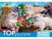 TOPpuzzle. ПАЗЛЫ 500 элементов. ХТП500-5725 НЕВСКИЕ МАСКАРАДНЫЕ КОТЯТА
