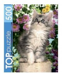 TOPpuzzle. ПАЗЛЫ 500 элементов. КБТП500-6798 Котенок в цветах