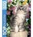 TOPpuzzle. ПАЗЛЫ 500 элементов. КБТП500-6798 Котенок в цветах