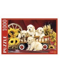 ПАЗЛЫ 1000 элементов. КБ1000-7875 ЩЕНКИ И ПОДСОЛНУХИ