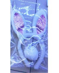 Карнавальный набор 2 в 1 Заяц,розовый КРК-5736