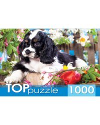 TOPpuzzle. ПАЗЛЫ 1000 элементов. ГИТП1000-2143 Щенок спаниеля в саду