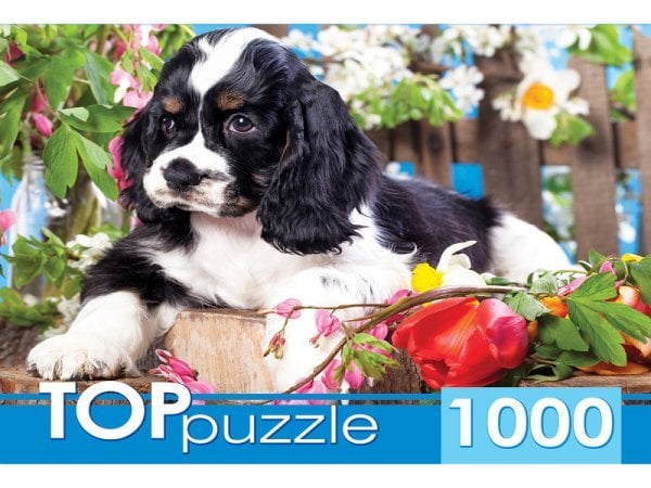 TOPpuzzle. ПАЗЛЫ 1000 элементов. ГИТП1000-2143 Щенок спаниеля в саду