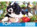 TOPpuzzle. ПАЗЛЫ 1000 элементов. ГИТП1000-2143 Щенок спаниеля в саду