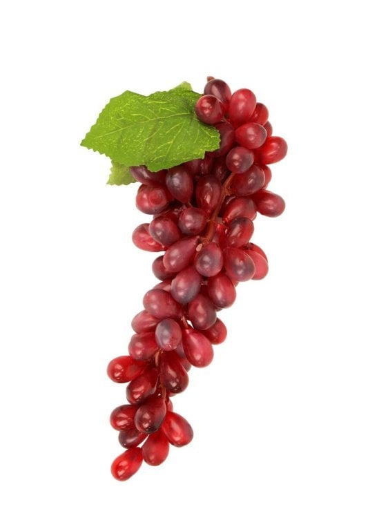 Декоративный виноград Фиолетовая гроздь НУ-6291
