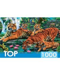 TOPpuzzle. ПАЗЛЫ 1000 элементов. ХТП1000-2160 Семейство тигров