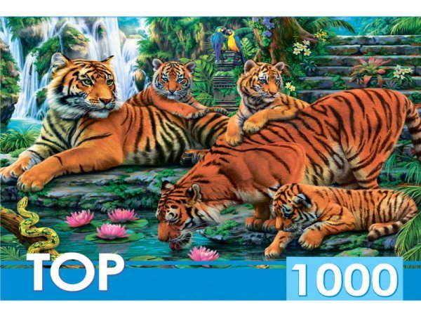ЖИВОТНЫЕ (Рыжий Кот) TOPpuzzle. ПАЗЛЫ 1000 элементов. ХТП1000-2160 Семейство тигров