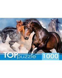 TOPpuzzle. ПАЗЛЫ 1000 элементов. ГИТП1000-2147 Табун скакунов