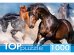 TOPpuzzle. ПАЗЛЫ 1000 элементов. ГИТП1000-2147 Табун скакунов