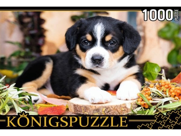26. Konigspuzzle. ПАЗЛЫ 1000 элементов. ШТK1000-0645 ЩЕНОК ШВЕЙЦАРСКОГО ЗЕННЕНХУНДА