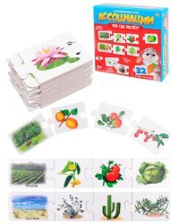 АССОЦИАЦИИ-ЦЕПОЧКОЙ. ЧТО ГДЕ РАСТЕТ (Новая коробка) Арт. ИН-1412