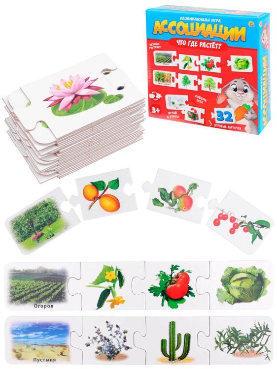 АССОЦИАЦИИ-ЦЕПОЧКОЙ. ЧТО ГДЕ РАСТЕТ (Новая коробка) Арт. ИН-1412
