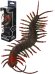 Сороконожка, 23,0 см (Арт. ИК-4018)