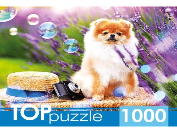 ЖИВОТНЫЕ (Рыжий Кот) TOPpuzzle. ПАЗЛЫ 1000 элементов. ШТТП1000-9859 Шпиц в саду
