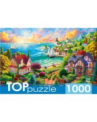 TOPpuzzle. ПАЗЛЫ 1000 элементов. ФТП1000-9849 Деревня у моря