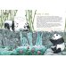 Я большая панда. (книга с раскрасками)