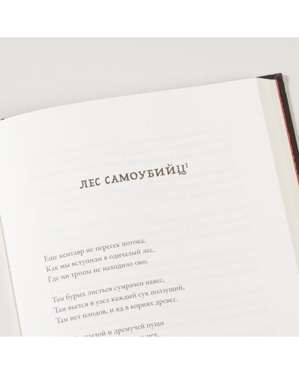 Дополнительное изображение книги «Ад.История идеи и ее земные воплощения»