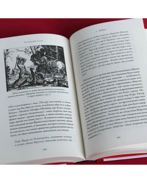 Праведный палач. Жизнь, смерть, честь и позор в XVI веке