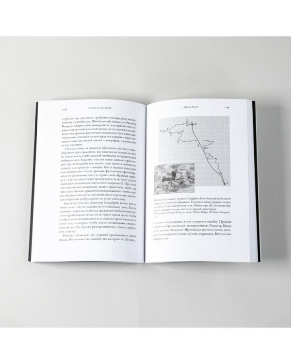 Планета муравьев