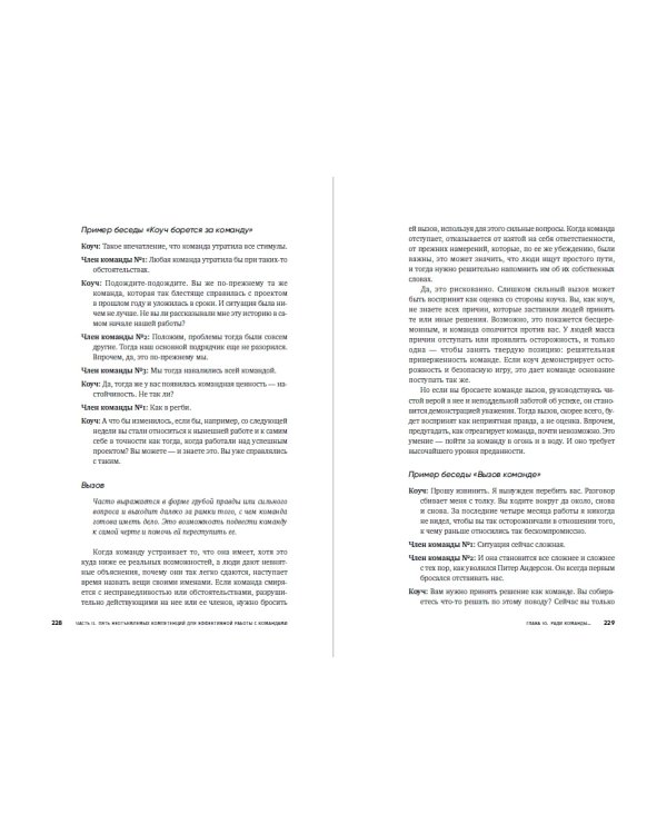 Потенциал команды. Как добиться максимальной эффективности командной работы